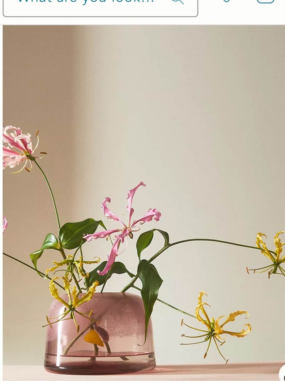 NWT Anthropologie Lullia Pink Art Glass Vase